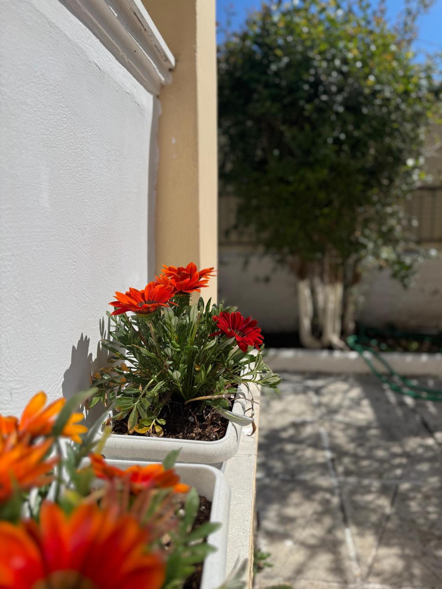 Corfu-apartments4you Appartement *